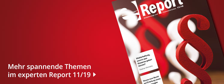 Mehr zum Thema in der November-Ausgabe 19