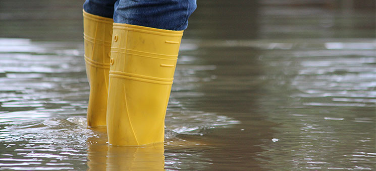 Gummistiefel-Hochwasser-100734525-AS-Rico-Loeb