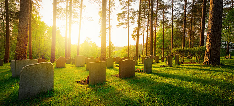 Friedhof-65530466-AS-stefanholm