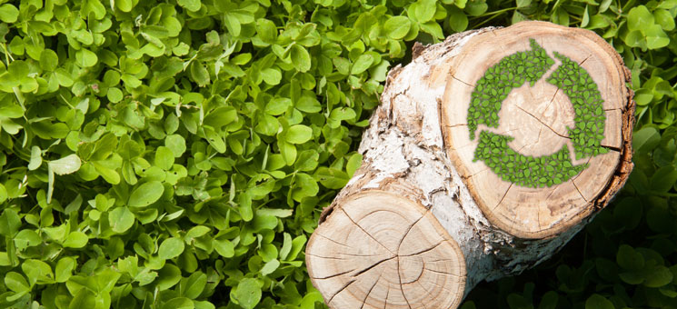 tree stump on the grass with recycle symbol, top view