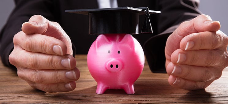 Businessperson's Hand Protecting Pink Piggybank