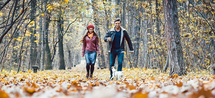 Young couple walking with their dog in a colorful autumn forest