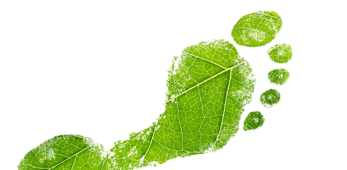 Green eco footprint. Leaf design.