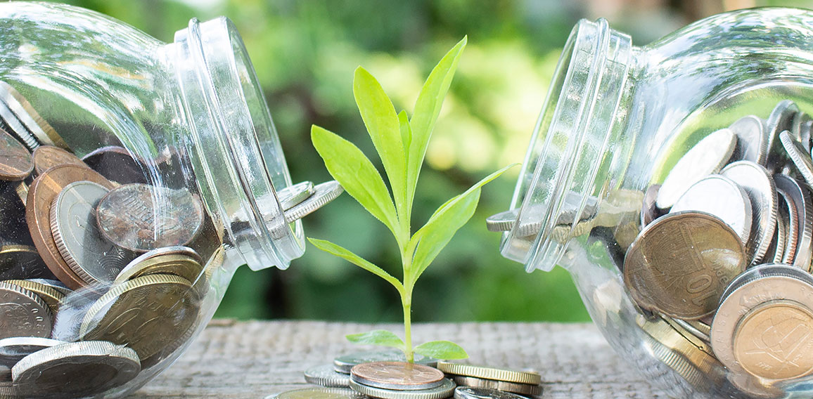 Plant growing from coins outside of two glass jars on blurred green natural background