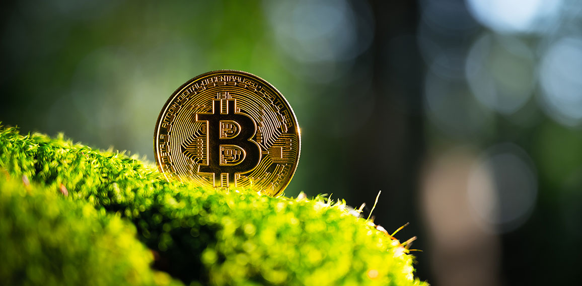 Golden bitcoin coin on lush green moss