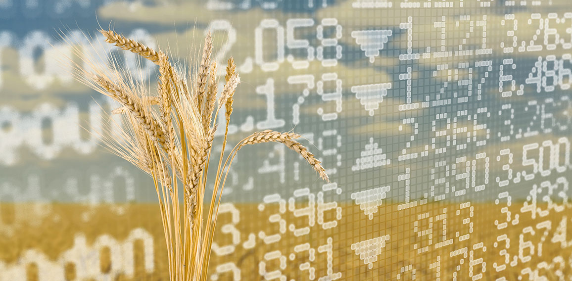 Diagram of rising food prices. Increase in the price of wheat se