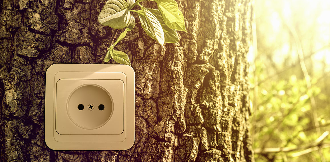 Green energy concept, power socket in tree trunk