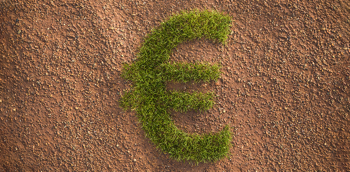 Green grass Euro sign in an arid landscape. Concept for corporate responsibility and ESG (environment social governance) standards in investing.