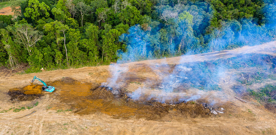 Aerial drone view of tropical rainforest deforestation to clear