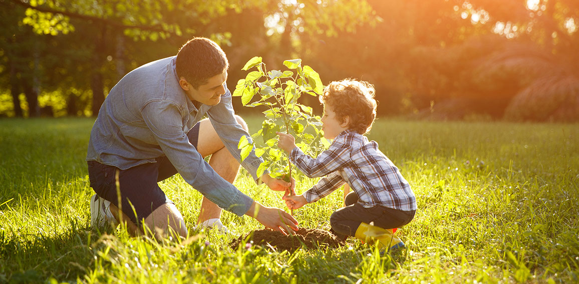 Father and son setting plant