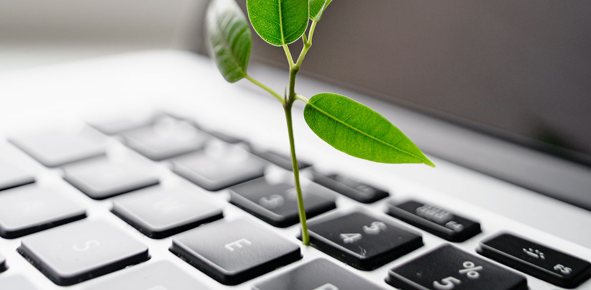 Laptop keyboard with plant growing on it. Green IT computing concept. Carbon efficient technology. Digital sustainability