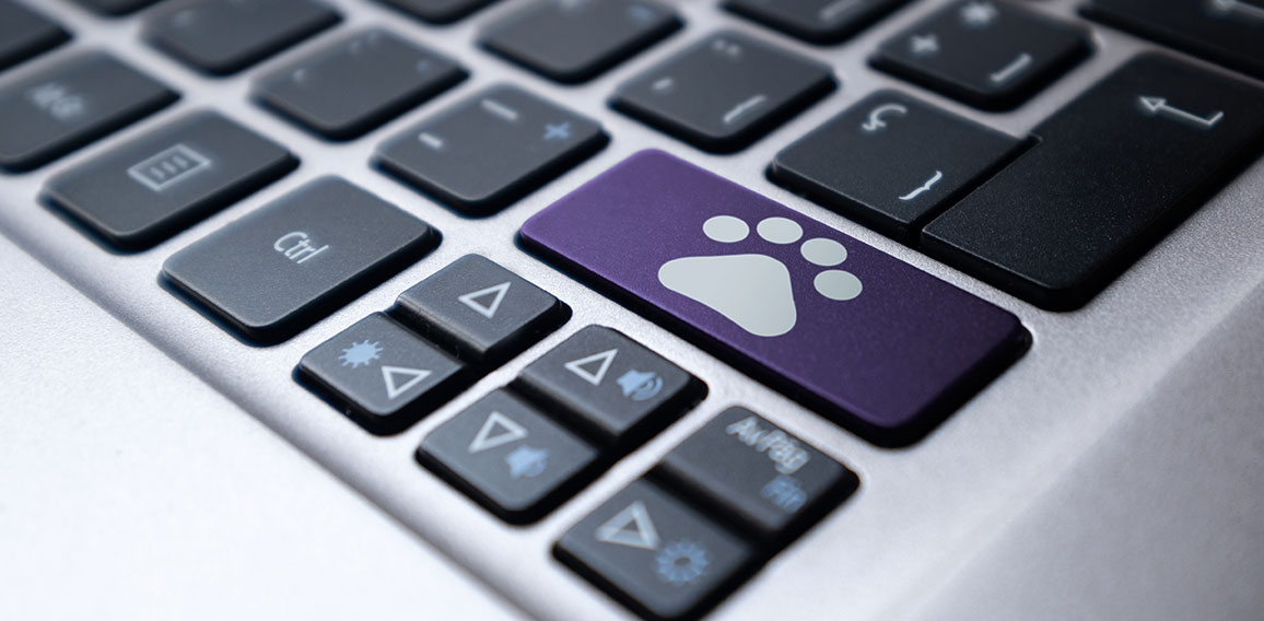 Laptop keyboard with a purple key and a drawn pet footprint. Vet