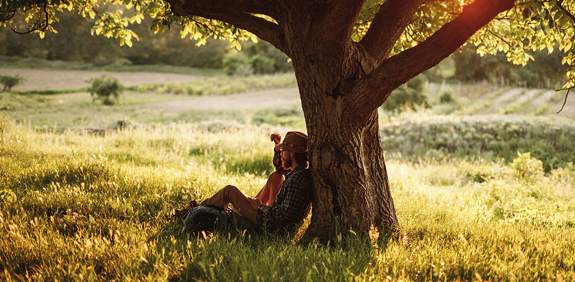 Calm male backpacker sitting under tree in summer day