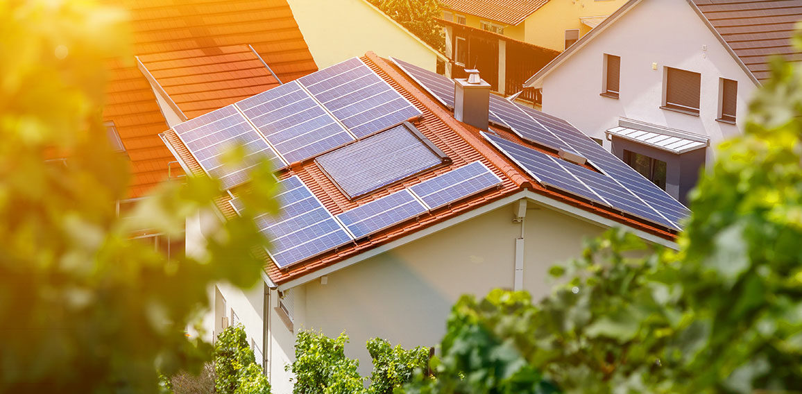 Solar panels on the tiled roof of the building in the sun. Top view through grape leaves. Selective focus.