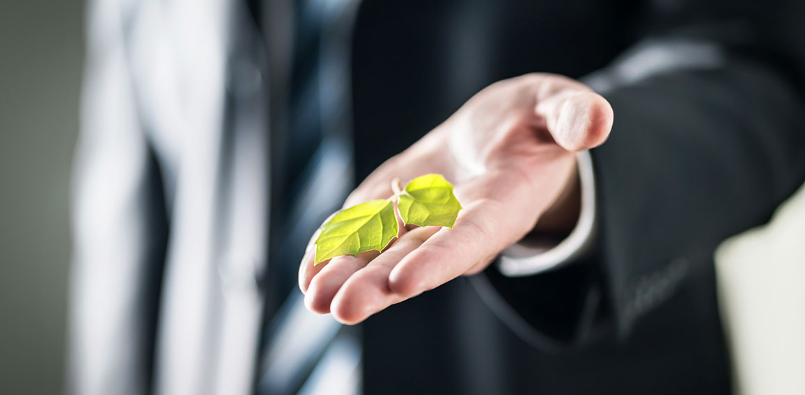 Business man holding green leaf on hand. Nature conservation, gl