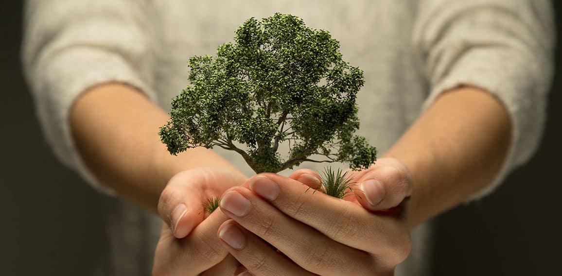 Hände halten Baum