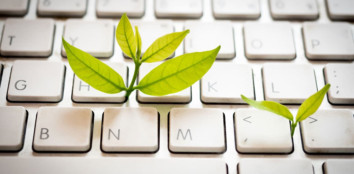 Leaves nature and keyboard.Small green plant growing from white