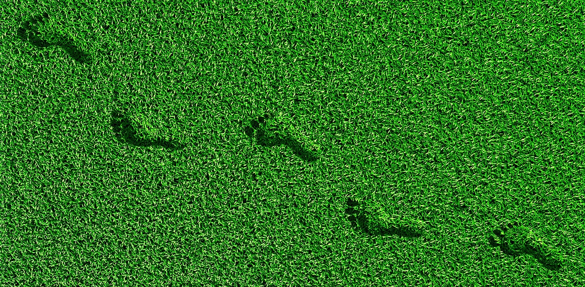 footprints on the grass