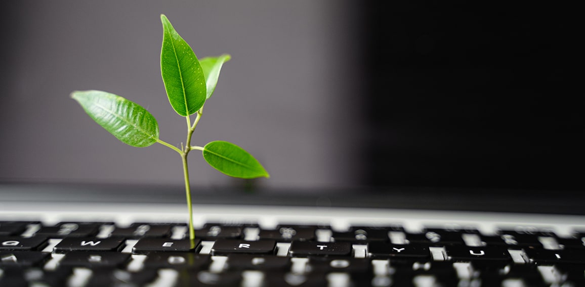 Laptop keyboard with plant growing on it. Green IT computing concept. Carbon efficient technology. Digital sustainability