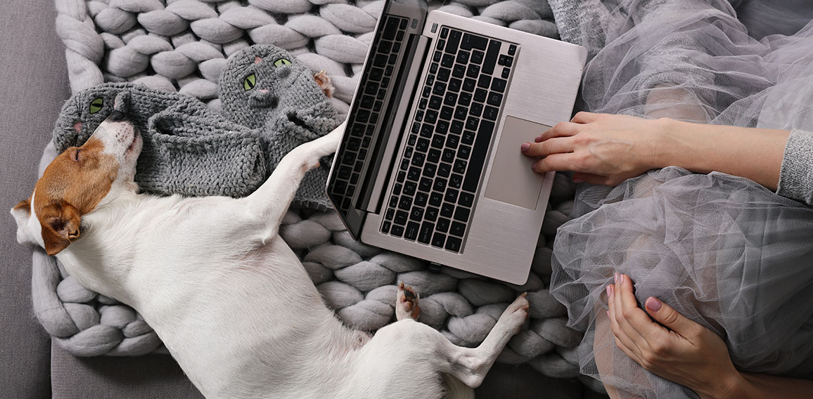 Cozy Woman covered with warm soft merino wool blanket watching movie, relaxing at home with dog . Carefree, comfort lifestyle.