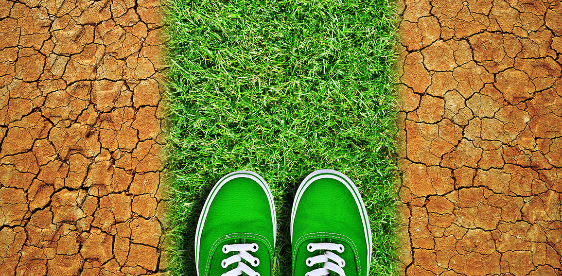 Green sneakers on way from grass in dry cracked earth. Global wa