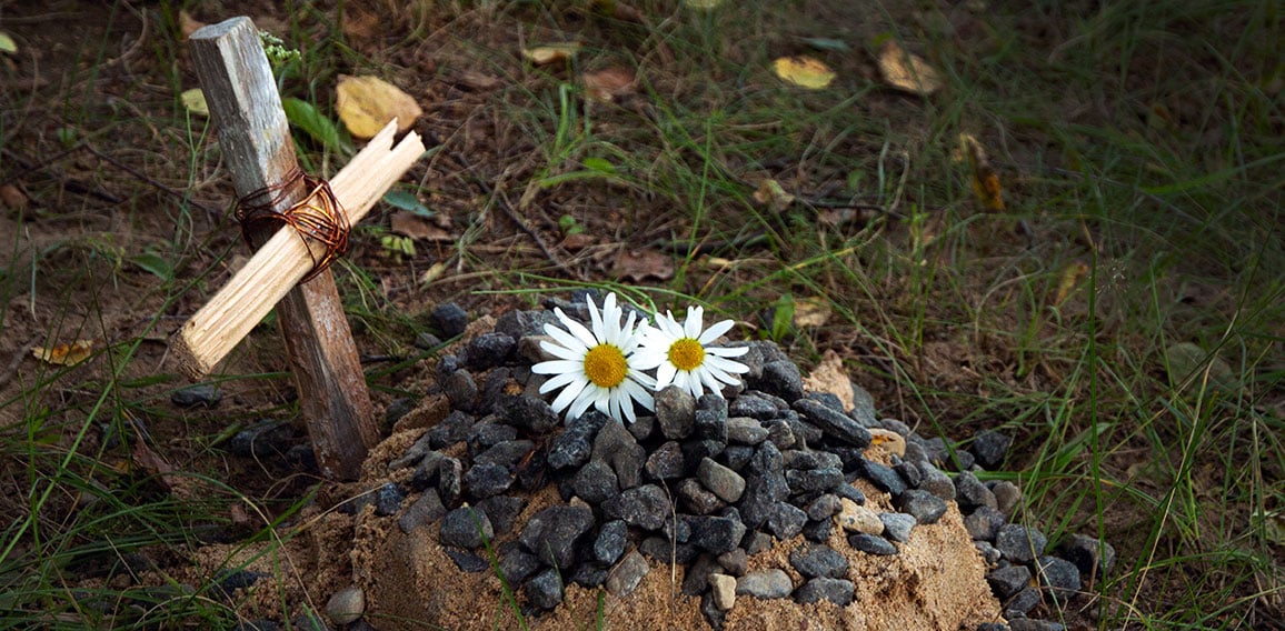 the grave of the family's beloved pet, a sand mound and a hand-made wooden cross, a couple of daisies