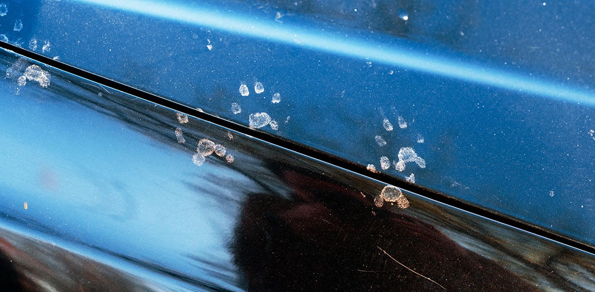 Animal footprints on a dirty car. Cats or martens can chew the w