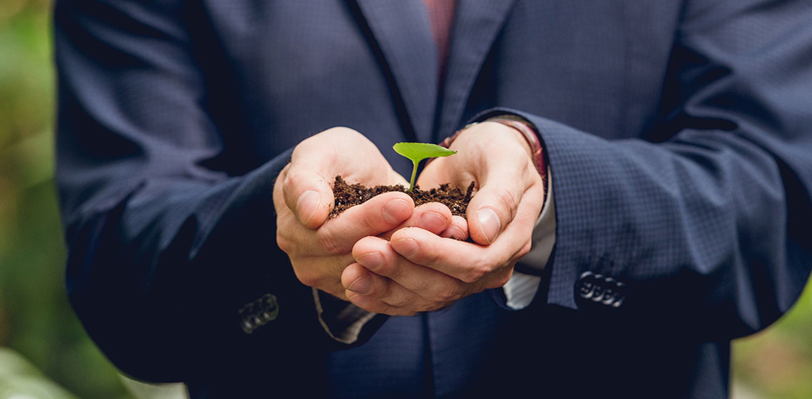 cropped view of businessman in suit holding green sprout and gro