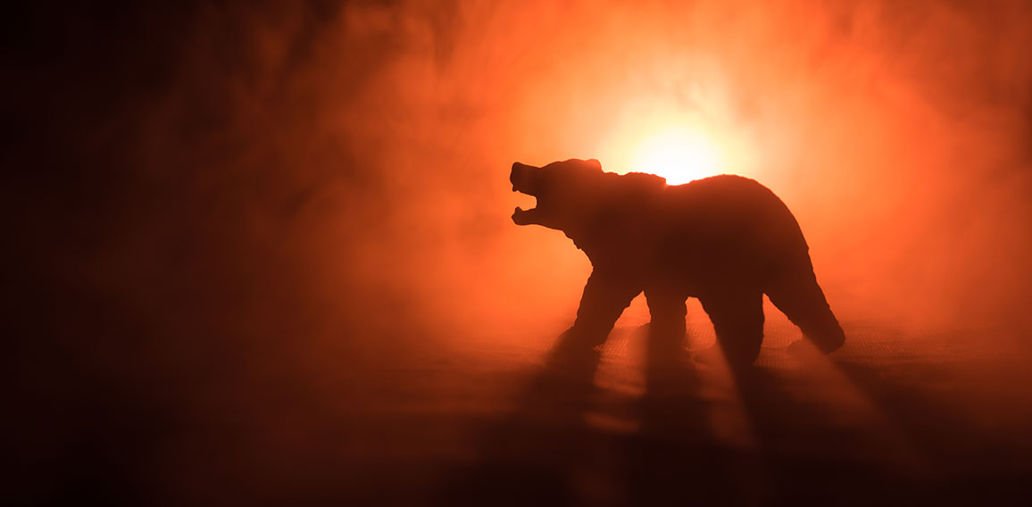 Angry bear behind the fire cloudy sky. The silhouette of a bear in foggy forest dark background. Selective focus