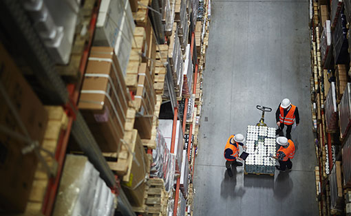 Workers Counting New Shipment in Warehouse