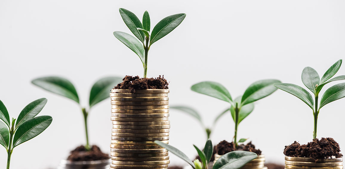 selective focus of coins with green leaves and soil Isolated On White, financial growth concept