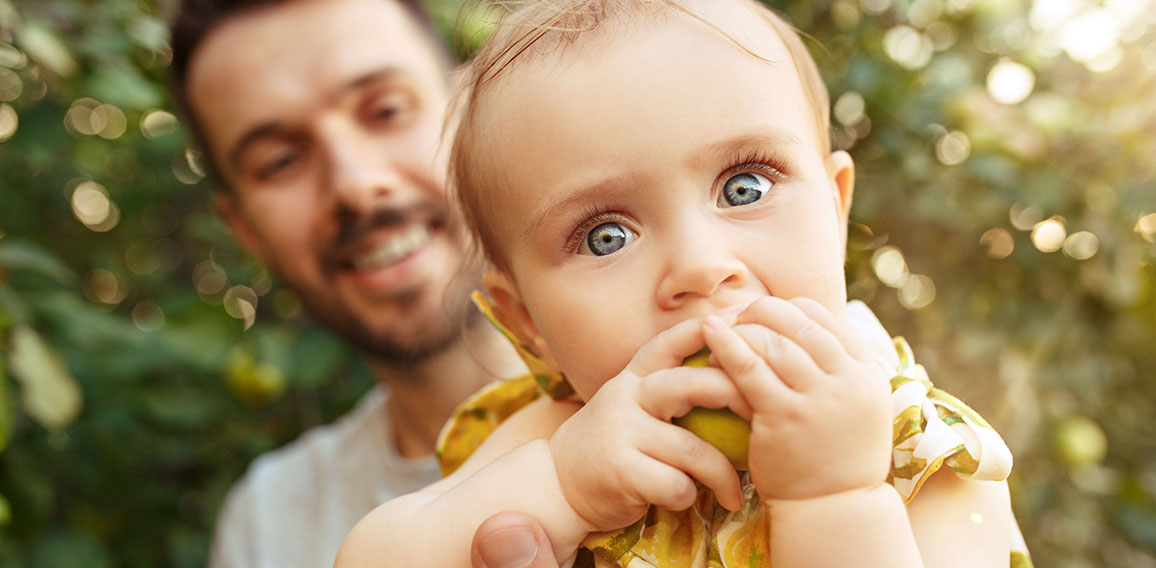 The happy young family during picking apples in a garden outdoors