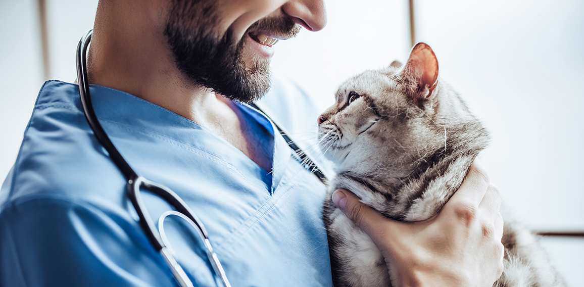 Doctor veterinarian at clinic