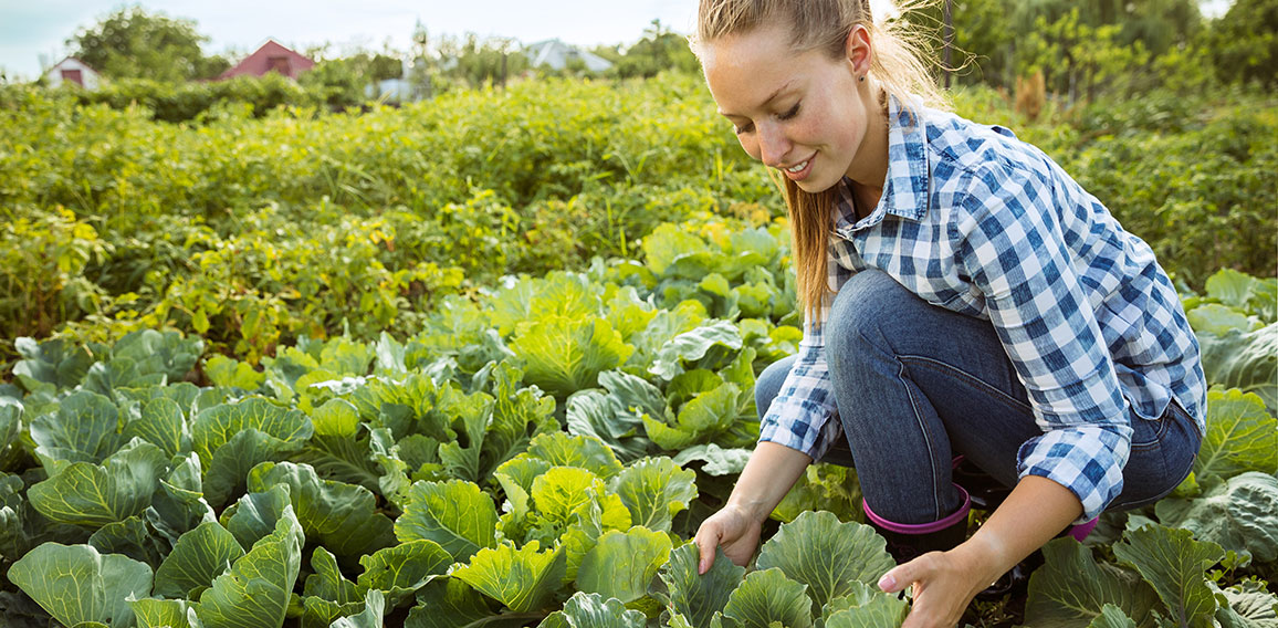 Young farmer working at his garden in sunny day