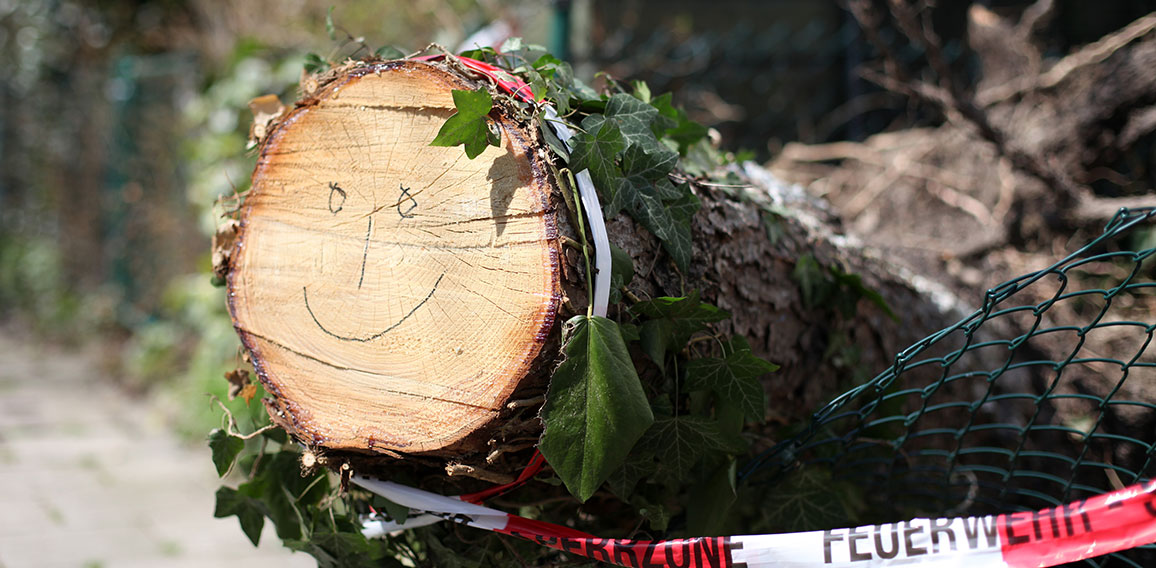 Sturmschäden umgefallener Baum