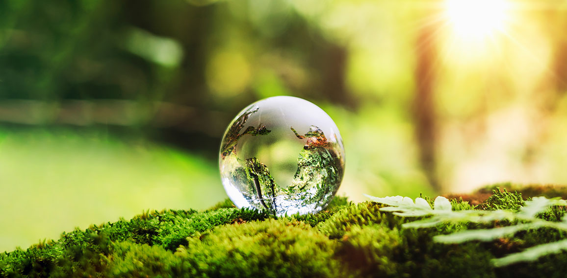 globe glass on grass with sunshine. environment concept