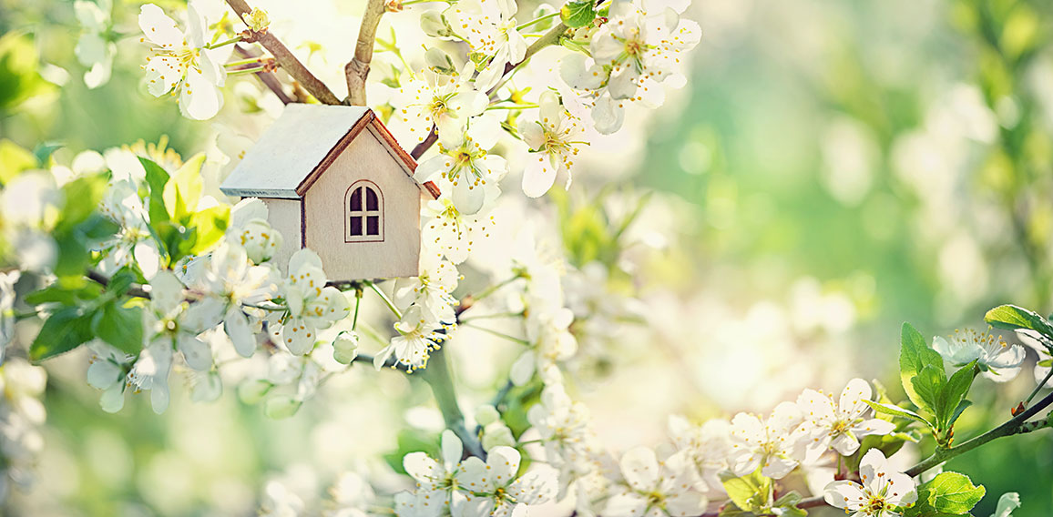 mini toy house and cherry flowers. house on spring nature backgr