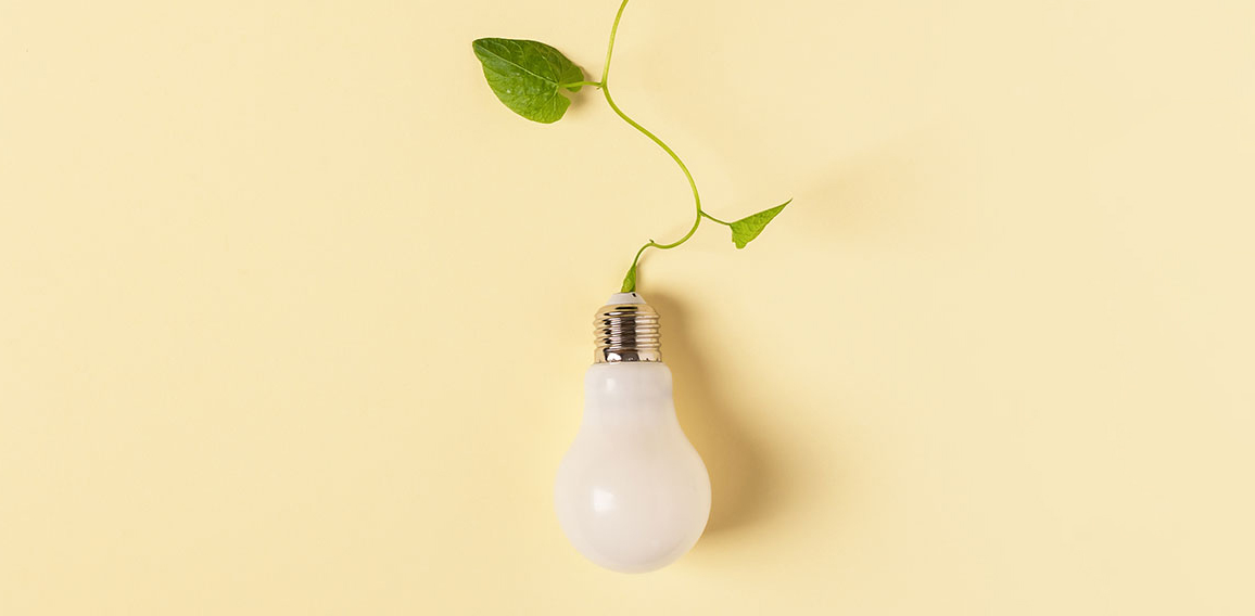 Light bulb with green plant as a concept of eco energy. Creative