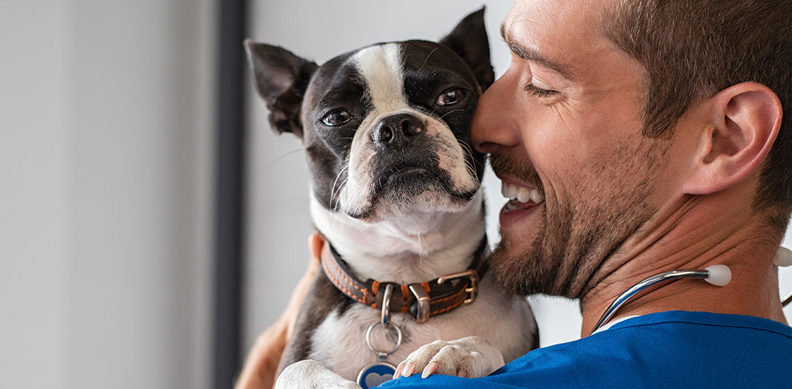 Vet cuddling pet dog