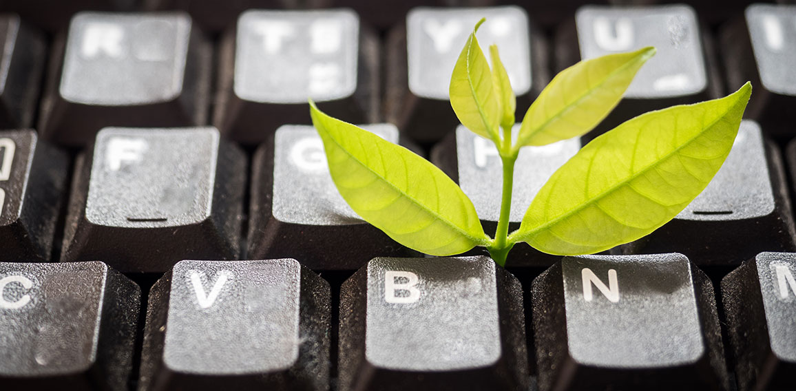 Leaves nature and black keyboard.Small green plant growing from