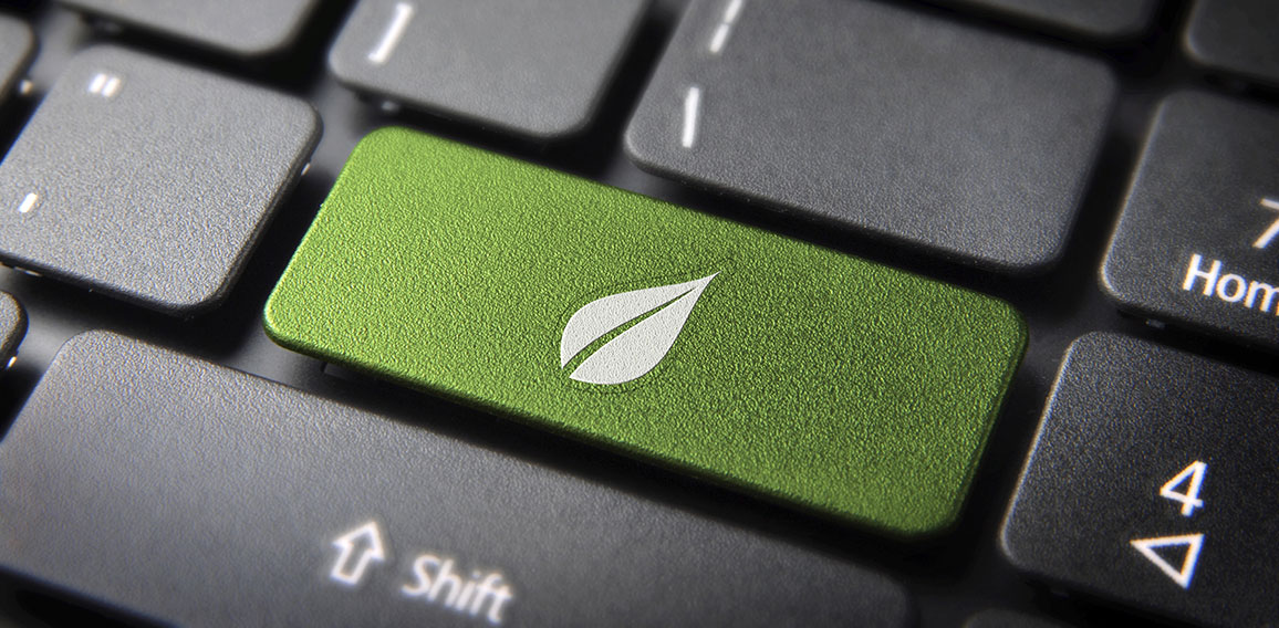 Green leaf keyboard key, environment background