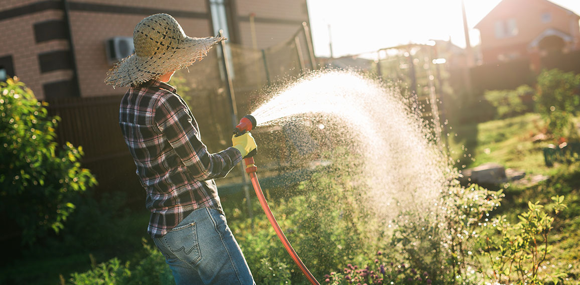 Happy woman gardener in work clothes watering the beds in her vegetable garden on sunny warm summer day. Concept of working in vegetable garden on your farm