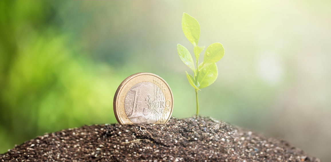 Coin with plant growing on top for business, saving, growth, economic concept